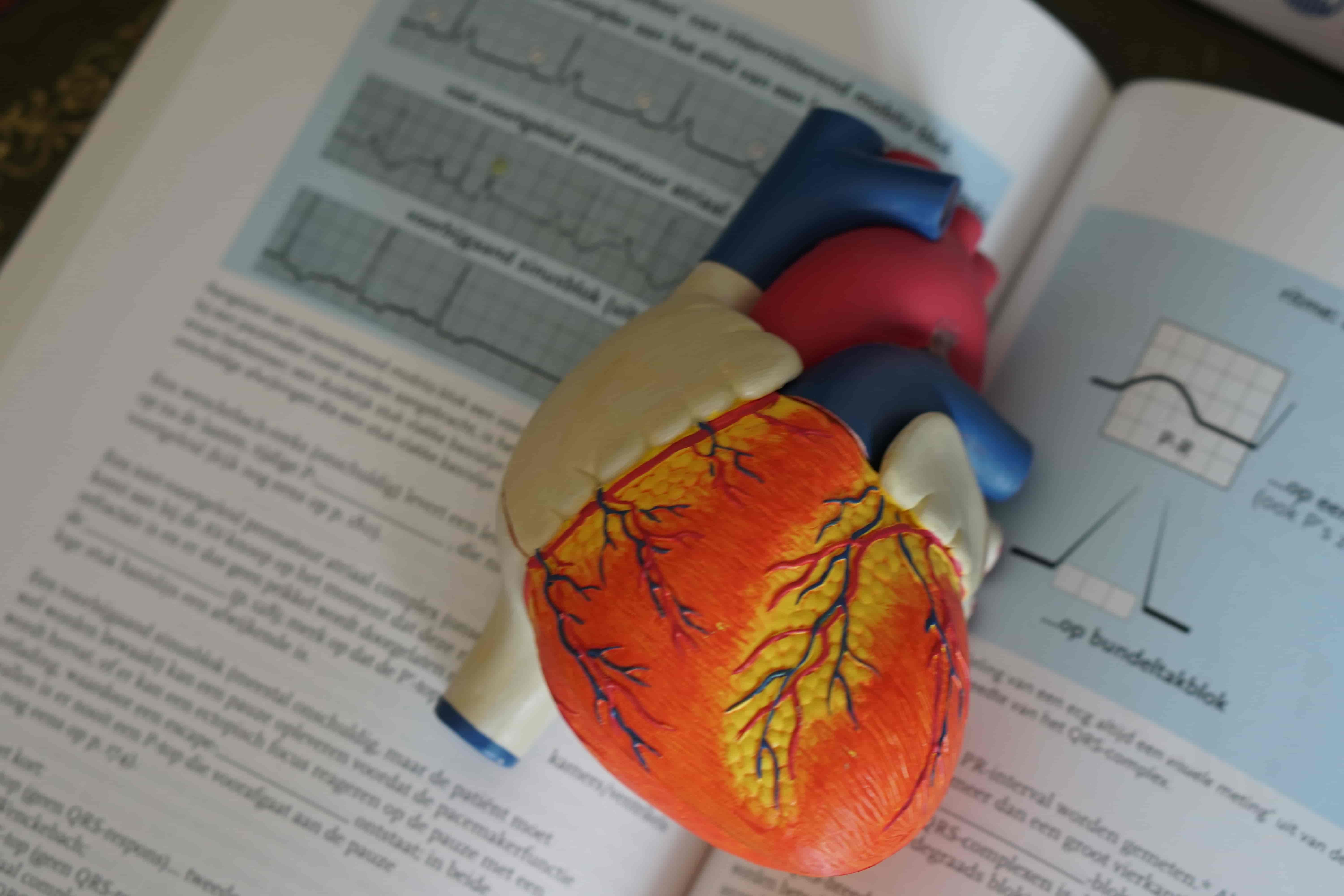Medical terminology training with anatomical diagrams and medical vocabulary